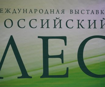 РОССИЙСКИЙ ЛЕС 2019