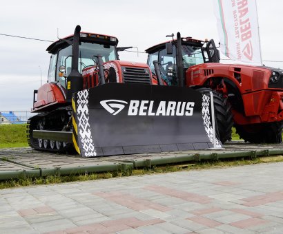 Александрия 2020 