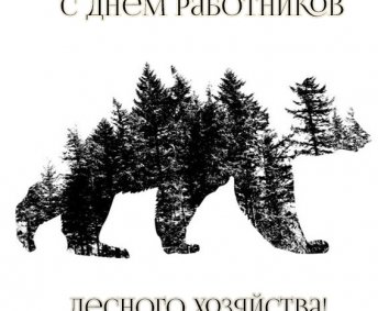 С Днем работников лесного хозяйства!!!