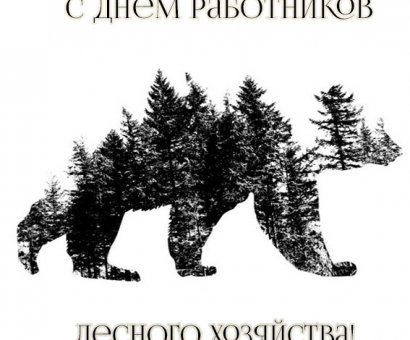 С Днем работников лесного хозяйства!!!